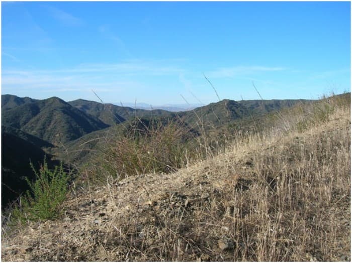 A Challenging Race Up Boney Mountain