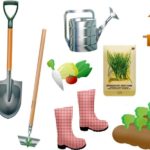 How to Care for Garden Tools in the Winter