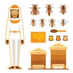 honey beehive removal