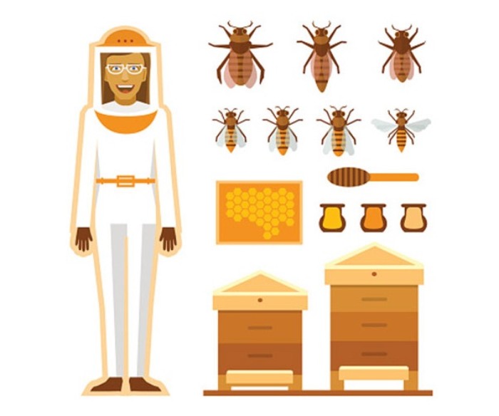 Why Should You Hire Professionals for Removal of Honey beehives?