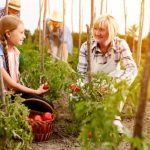 How to Fairly Sell a Family Farm