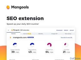 Mangools SEO extension