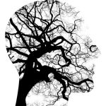 6 Helpful Ideas to Live Without Mental Stress