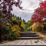 How to Create a Relaxing Outdoor Garden