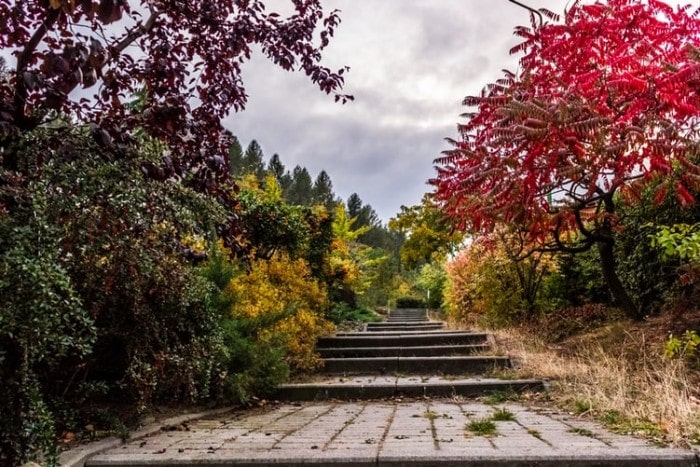 How to Create a Relaxing Outdoor Garden