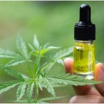 cbd oil for pets