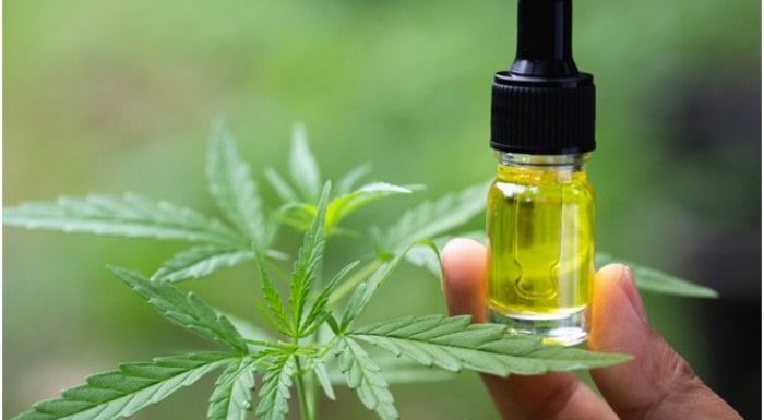 What are Some of the Advantages of CBD Oil for Pets?