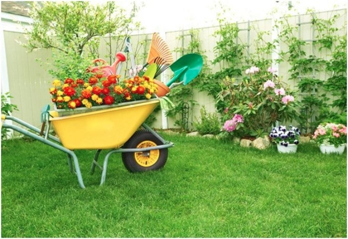 10 Benefits of Gardening at Home: For Better Health
