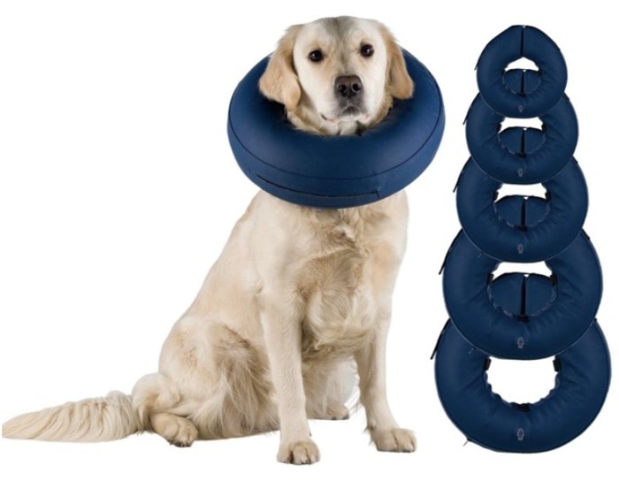 What are Some of the Advantages of Using E-Collars for Dogs?