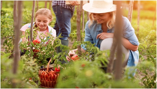 Gardening for Family Health