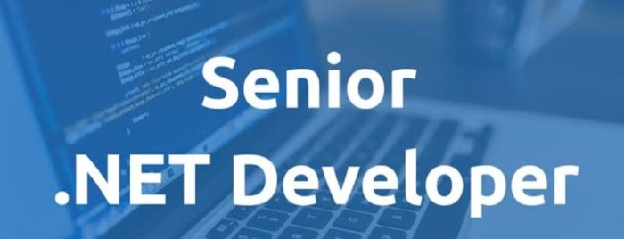 Senior .Net developer