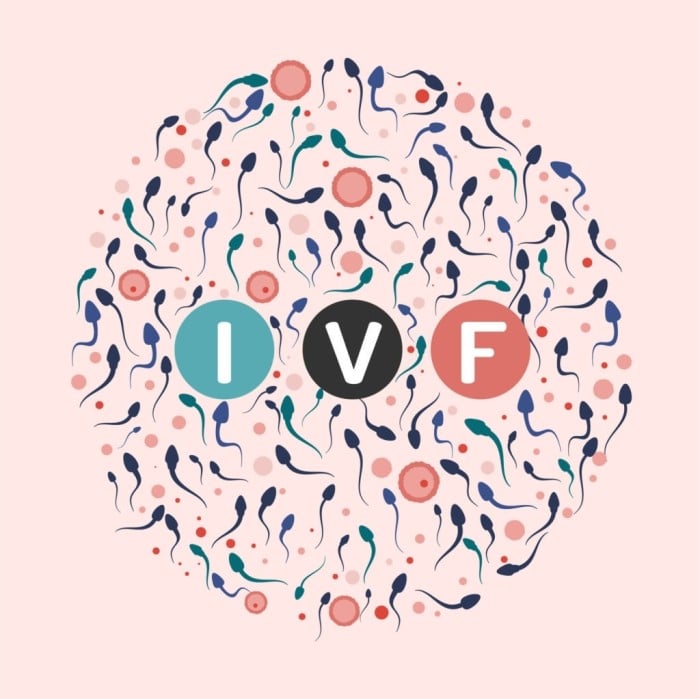 What are the chances of getting Pregnant with IVF?