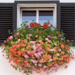 Hang Window Boxes