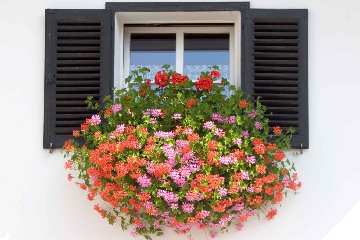 The Safe Way to Hang Window Boxes on Your Home’s Exterior