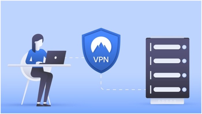 Express VPN is It Safe or Justify Its Price?