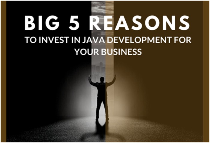 Big 5 Reasons to Invest in Java Development for Your Business