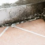 Preventing Mold in Basements