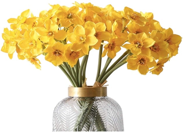 Daffodils