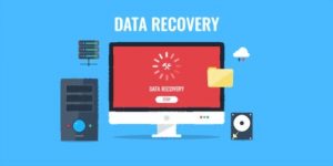 Data Recovery Service