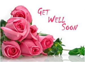 Get Well Soon Roses