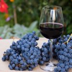 Health Benefits of Wine