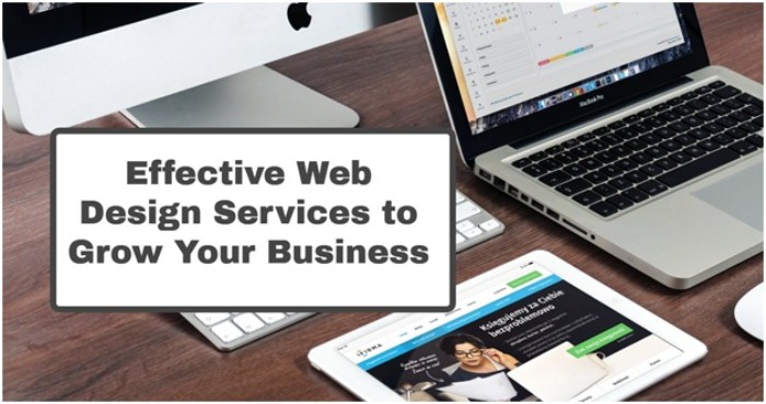 Effective Web Design Services to Grow Your Business
