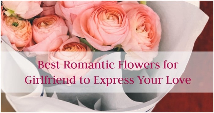 Best Romantic Flowers for Girlfriend to Express Your Love