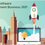 Software Development Startups