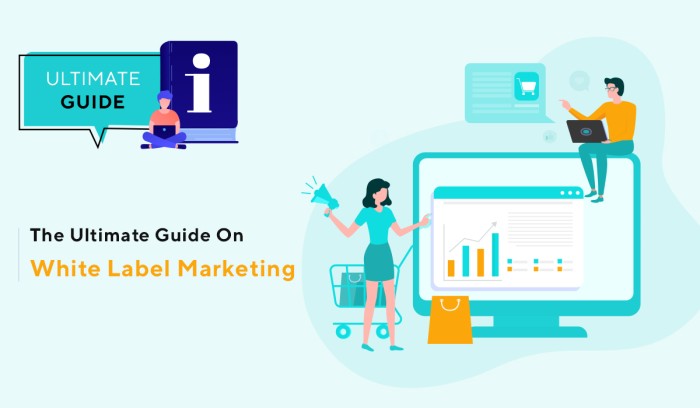 The Ultimate Guide on White Label Marketing - Trionds