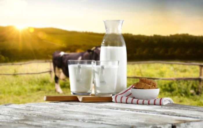 Organic Milk: 4 Facts Mothers Should Know When Buying Organic Milk Formulas
