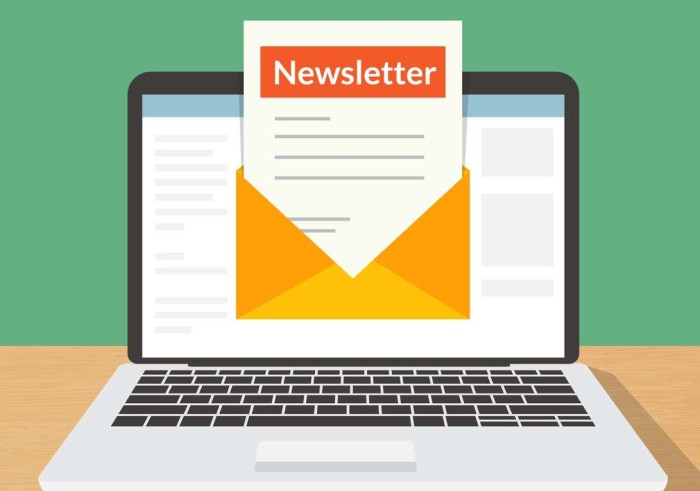 Email Newsletters