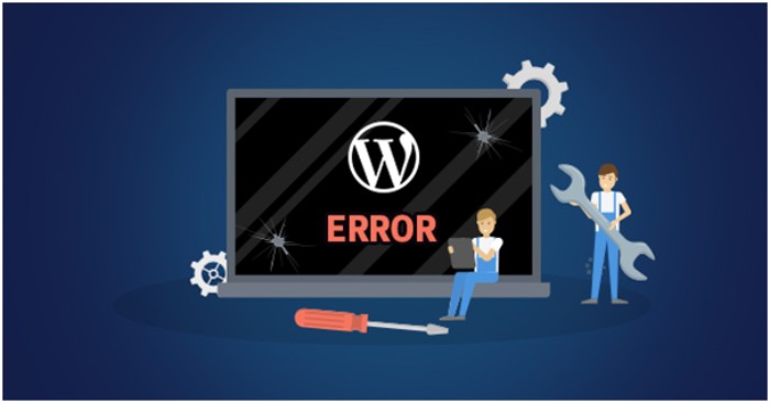6 Most Common WordPress Errors & How to Fix Them