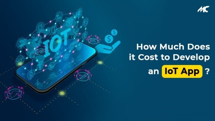 How Much Does it Cost to Develop an IoT App?