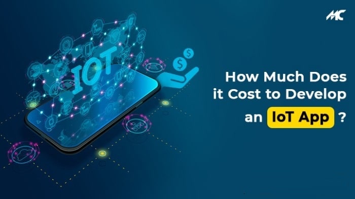How Much Does it Cost to Develop an IoT App?