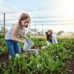 Vegetable Gardening for Beginners