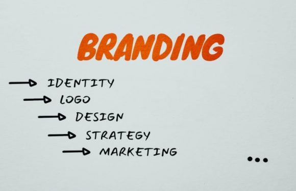 The Importance of Protecting Your Brand Identity with Reputation Management