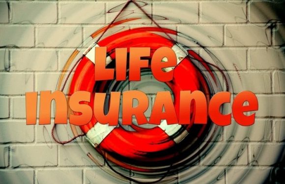 How to Determine the Right Insurance Plan for Your Family