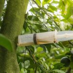 Tree Injections