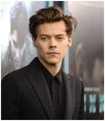 Harry Styles