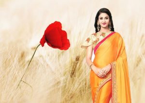 Types of Sarees