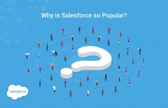 Top Reasons for Salesforce being So Popular as No.1 CRM