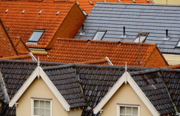 7 Unusual Ways to Improve Your Home’s Roof