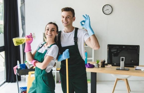 Does Your Maid Work Effectively? Here’s the Complete Guide