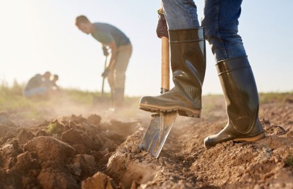 The Battle of the Soles: Wedge Sole vs. Heel Work Boots – Which Ones Should You Buy?