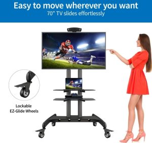 Portable TV Stand