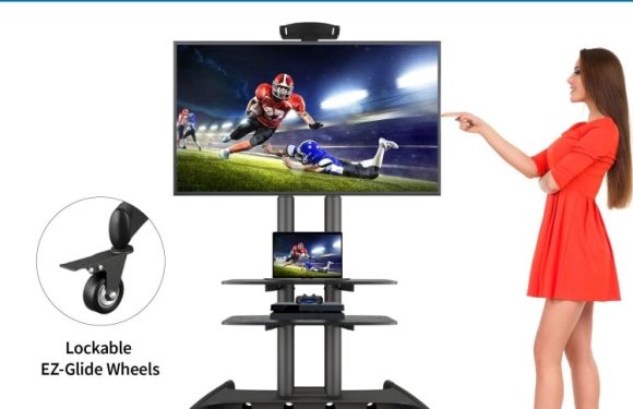 The Ultimate Portable & Adjustable TV Stand Solution for Indoor and Outdoor Use