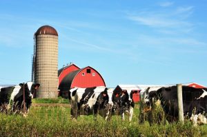 farm tools