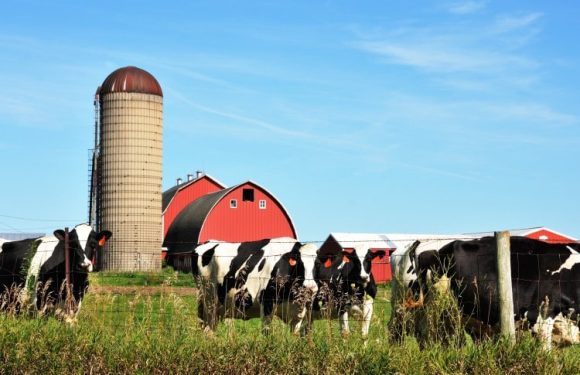 The Tools You Need to Run a Farm