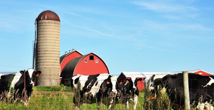 The Tools You Need to Run a Farm