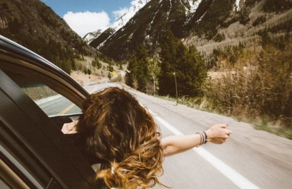 5 Road Trip Essentials to Keep You Organized